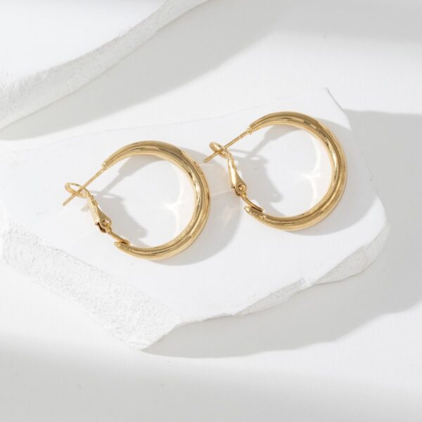 Boucle d’oreille / 02841